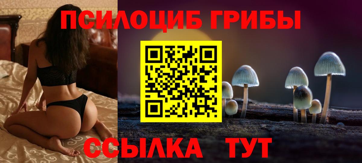 Псилоцибиновые грибы Psilocybine cubensis  Вход с VPN  Тверь  Галлюциногенные грибы GOLDEN TEACHER 