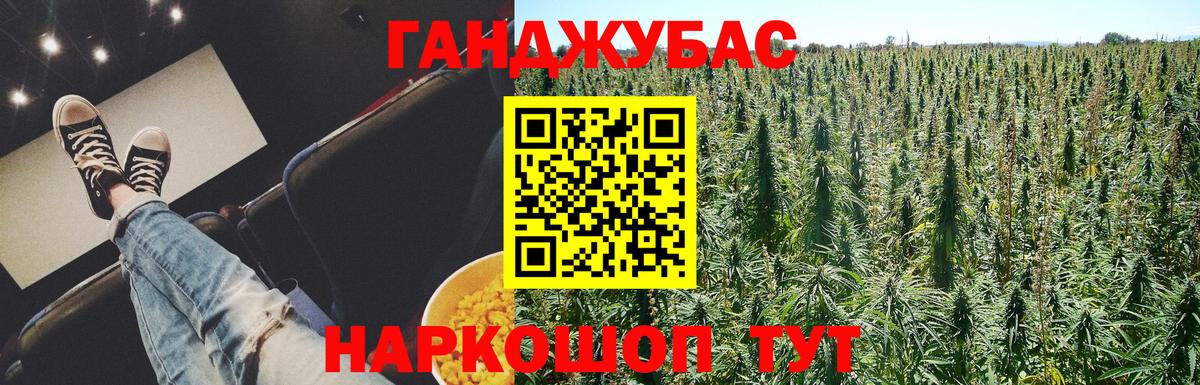 Бошки марихуана конопля Тверь